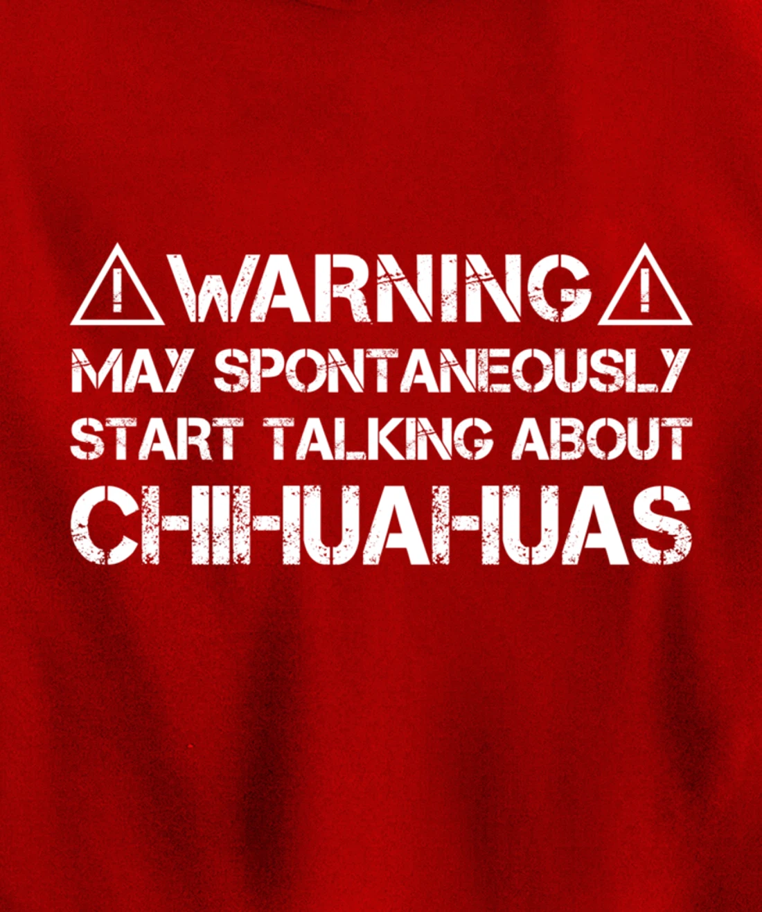 Warning May Start Talking About Chihuahuas Pullover Hoodie