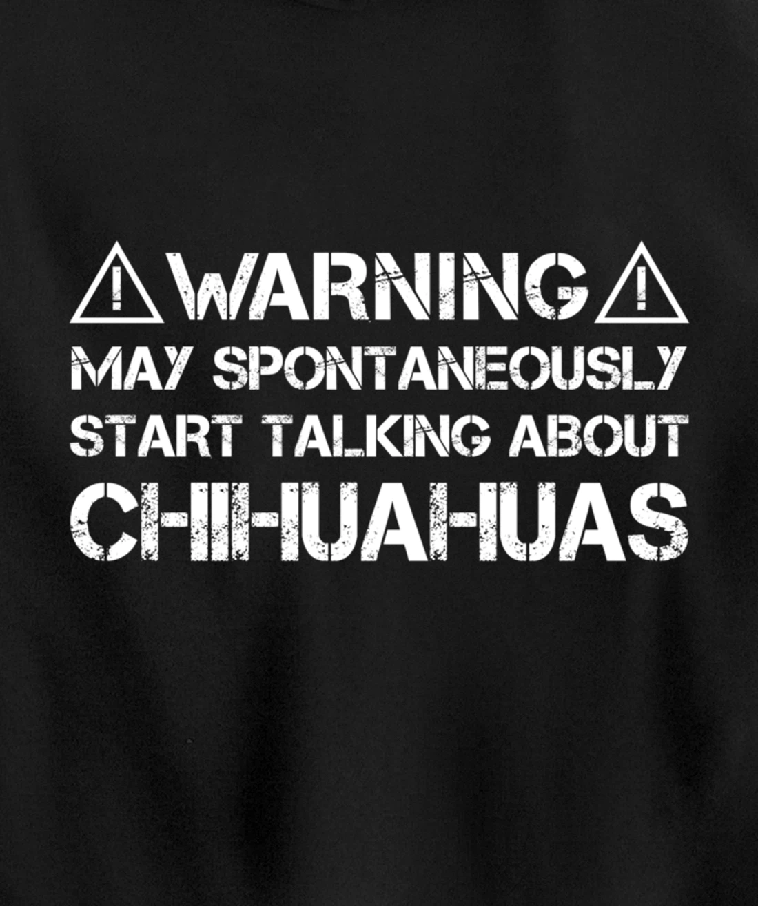 Warning May Start Talking About Chihuahuas Pullover Hoodie