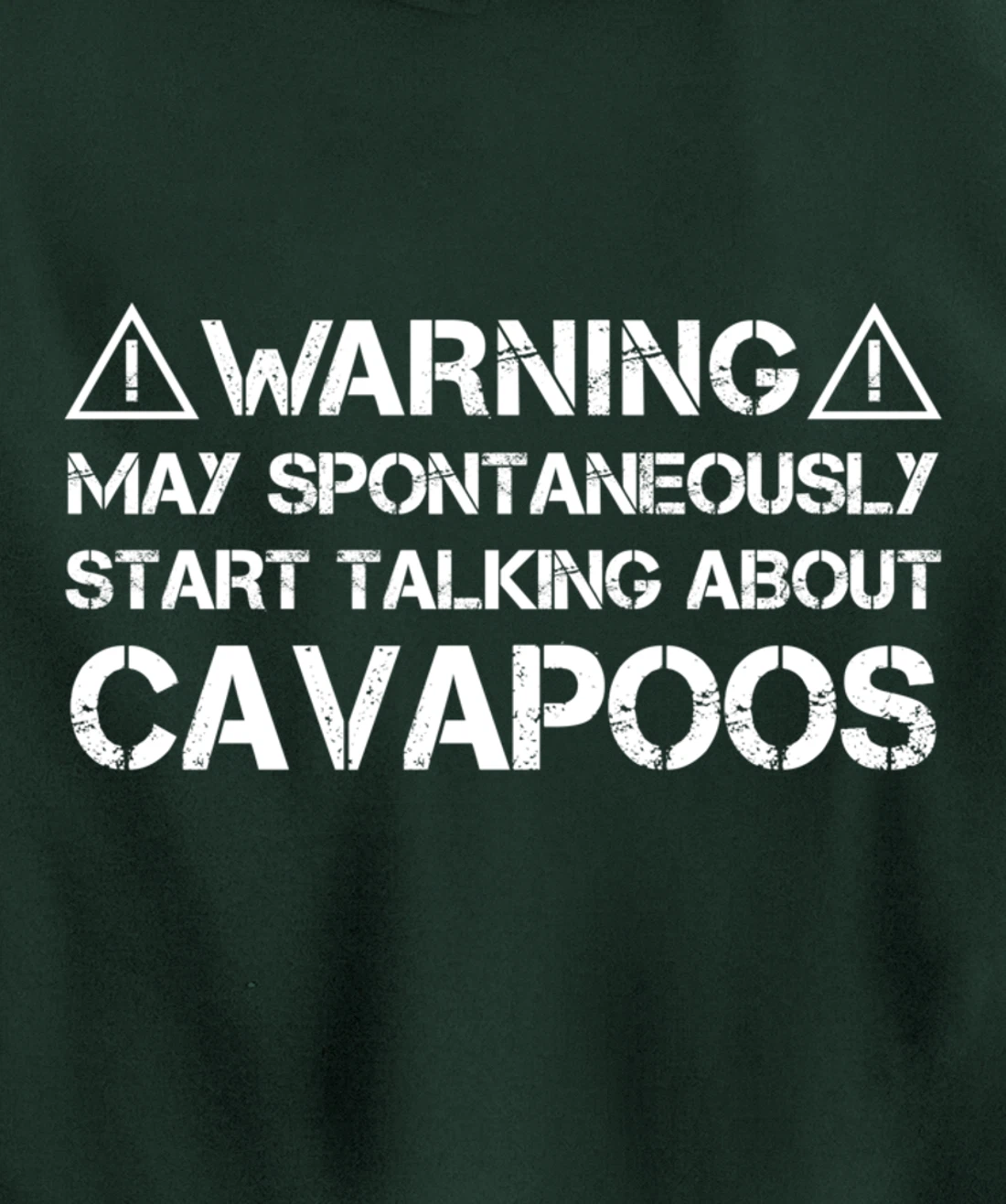 Warning May Start Talking About Cavapoos Cavoodle Pullover Hoodie