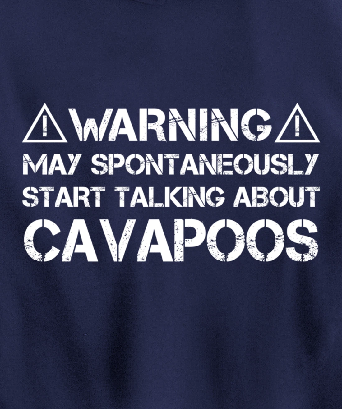 Warning May Start Talking About Cavapoos Cavoodle Pullover Hoodie