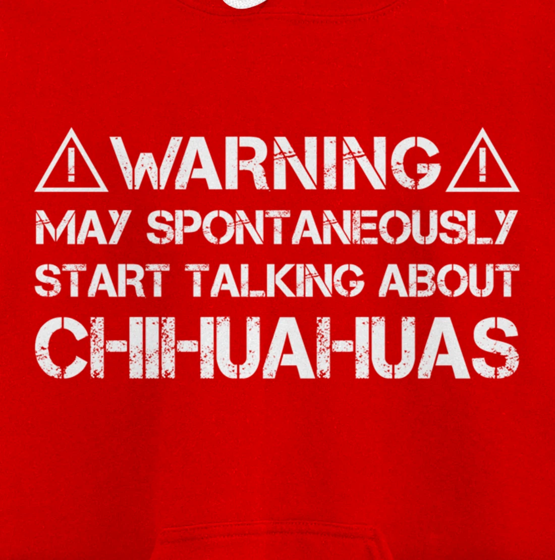 Warning May Start Talking About Chihuahuas Pullover Hoodie