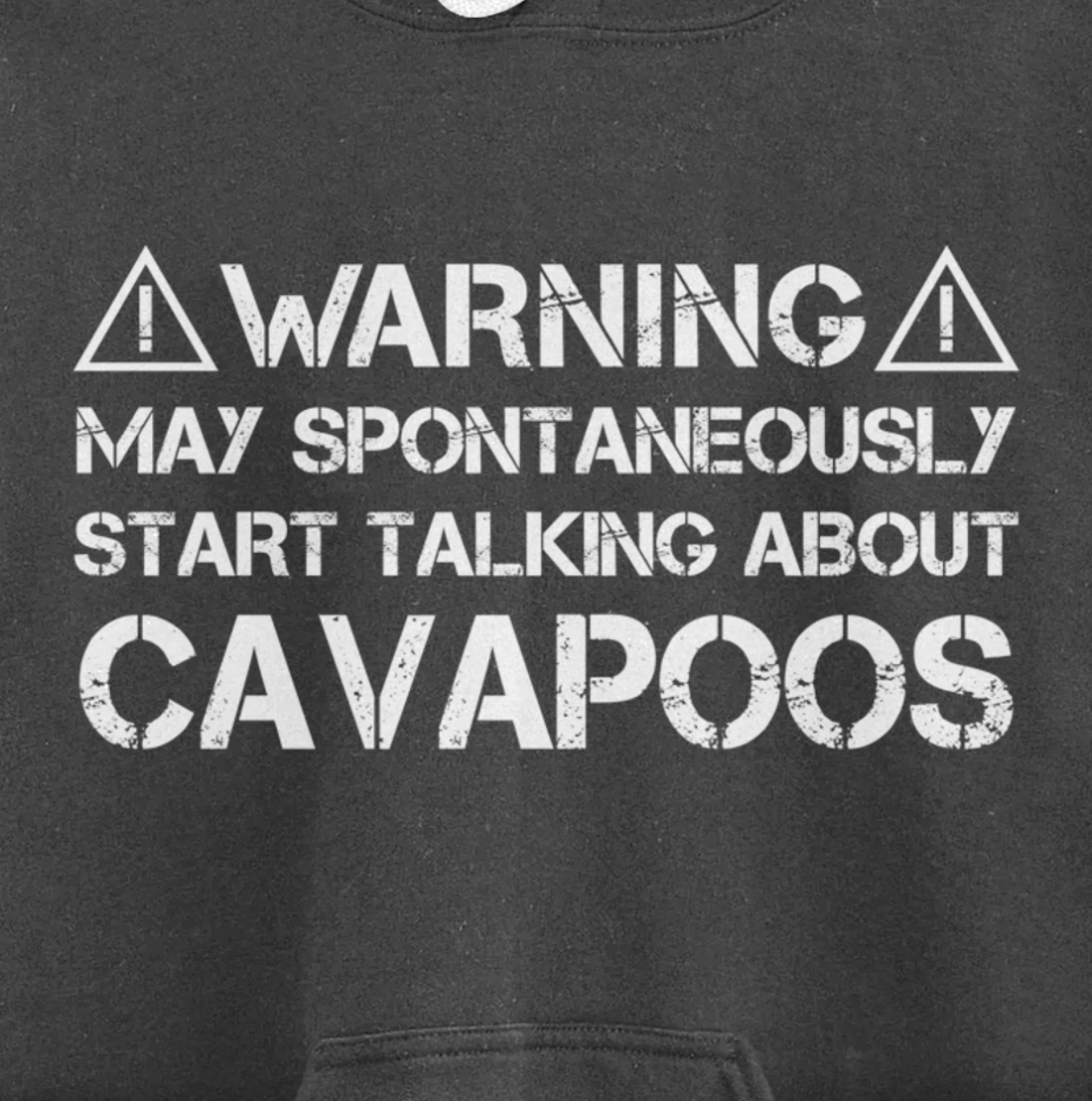 Warning May Start Talking About Cavapoos Cavoodle Pullover Hoodie