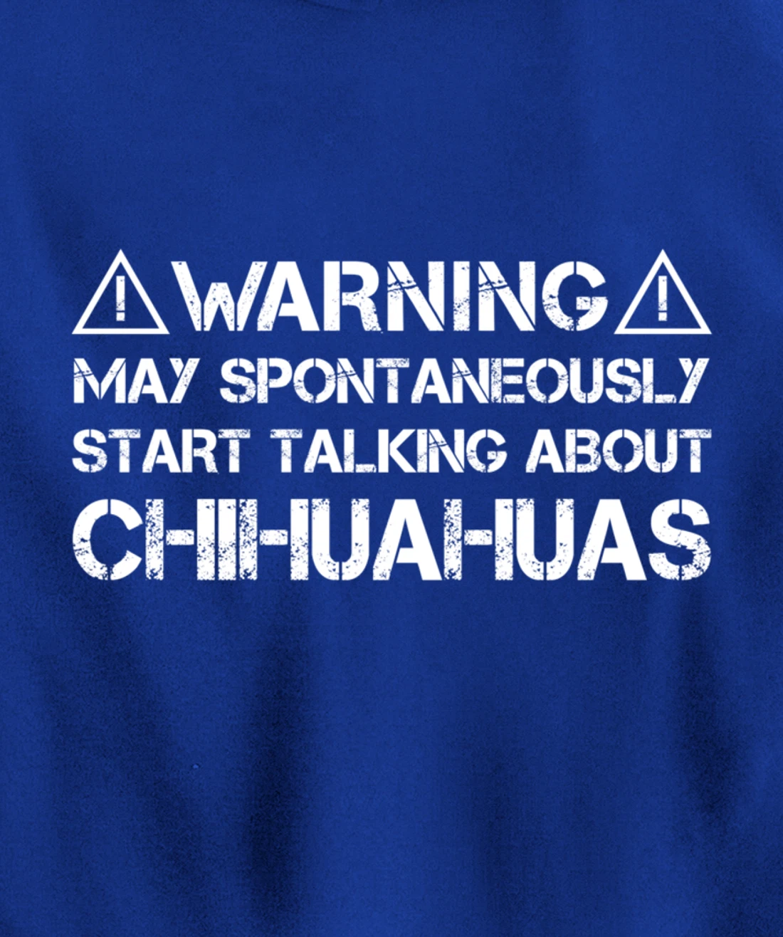 Warning May Start Talking About Chihuahuas Pullover Hoodie
