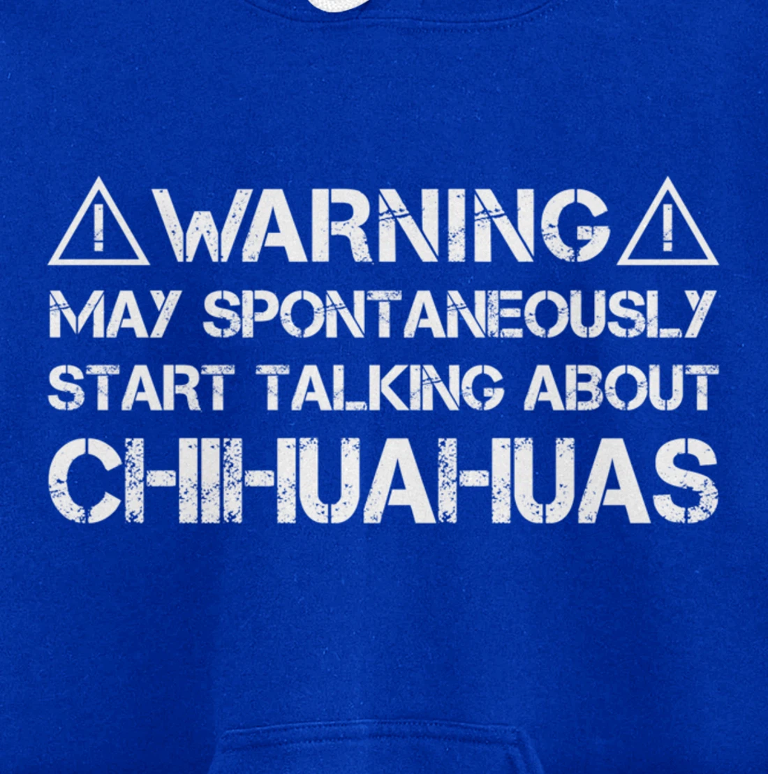 Warning May Start Talking About Chihuahuas Pullover Hoodie