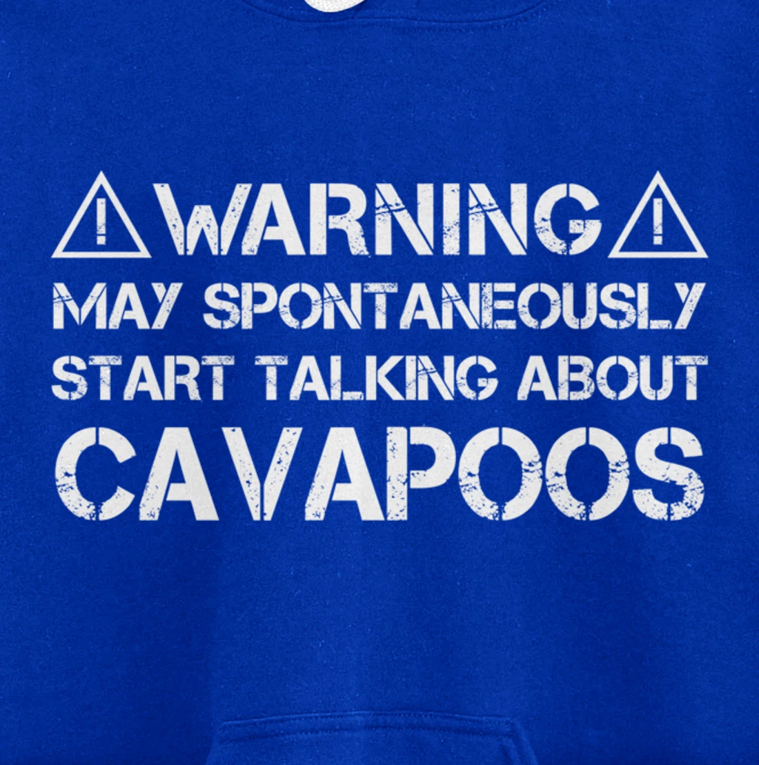 Warning May Start Talking About Cavapoos Cavoodle Pullover Hoodie