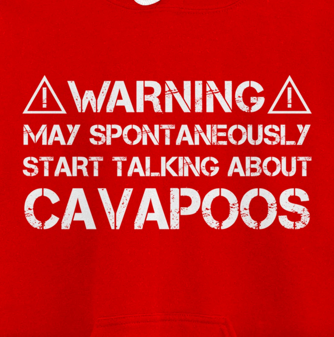 Warning May Start Talking About Cavapoos Cavoodle Pullover Hoodie