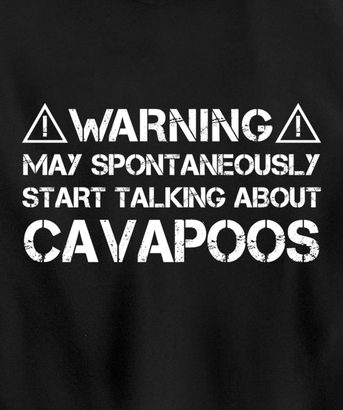 Warning May Start Talking About Cavapoos Cavoodle Pullover Hoodie