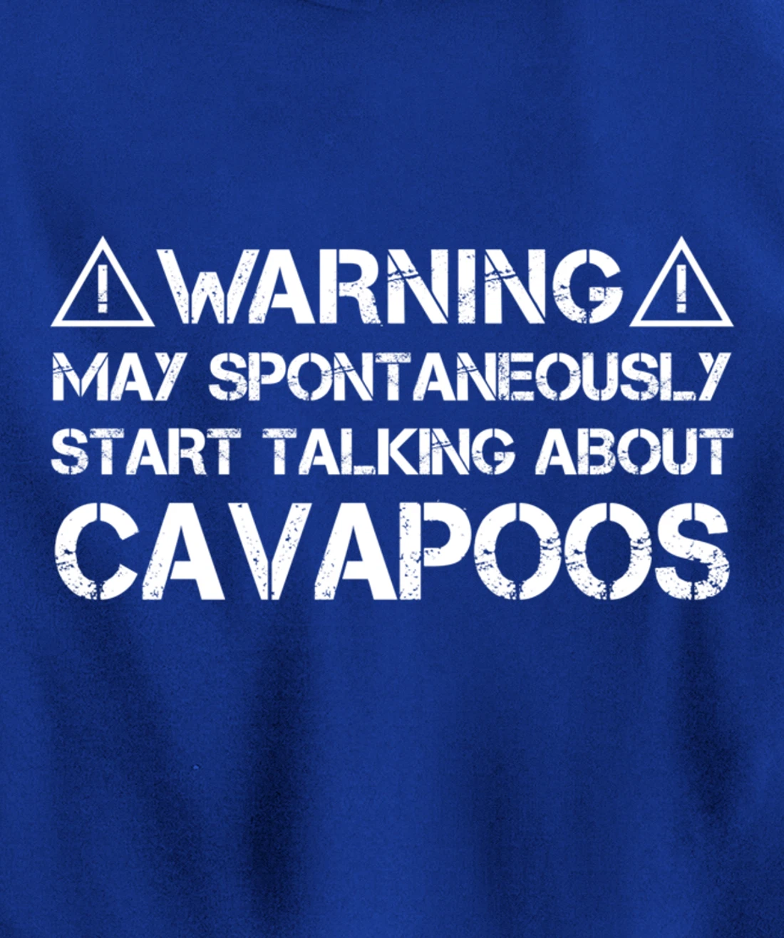 Warning May Start Talking About Cavapoos Cavoodle Pullover Hoodie