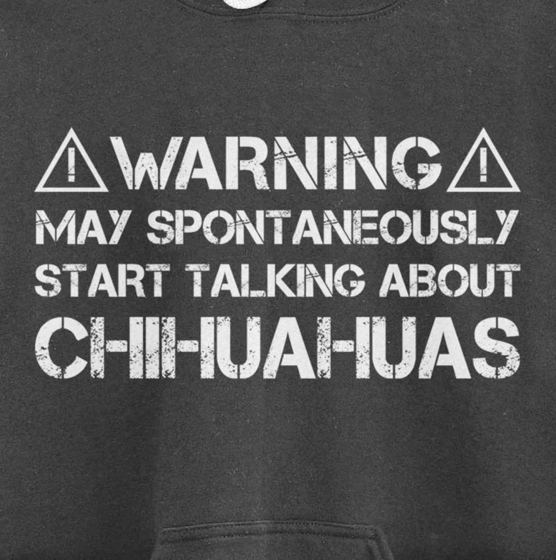 Warning May Start Talking About Chihuahuas Pullover Hoodie