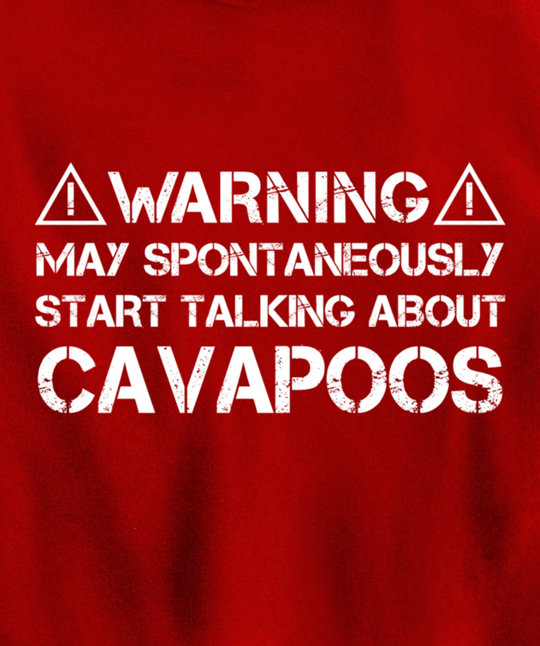 Warning May Start Talking About Cavapoos Cavoodle Pullover Hoodie