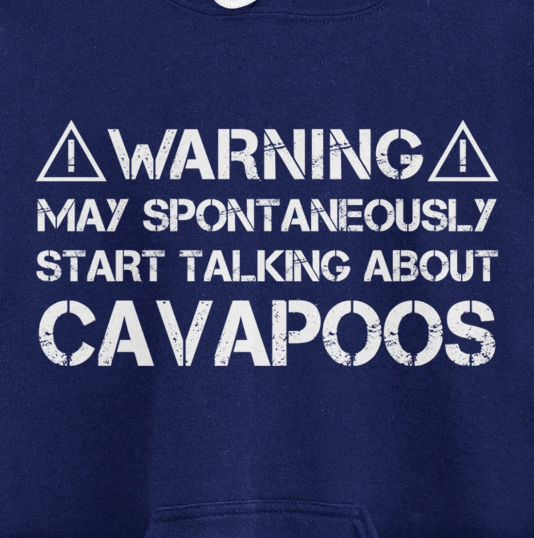 Warning May Start Talking About Cavapoos Cavoodle Pullover Hoodie