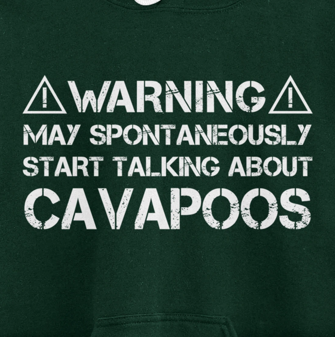 Warning May Start Talking About Cavapoos Cavoodle Pullover Hoodie