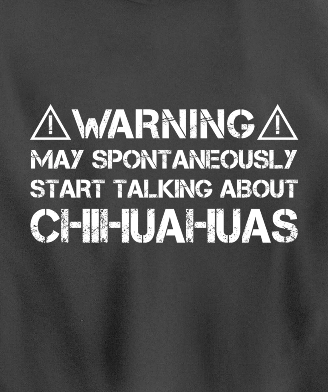 Warning May Start Talking About Chihuahuas Pullover Hoodie
