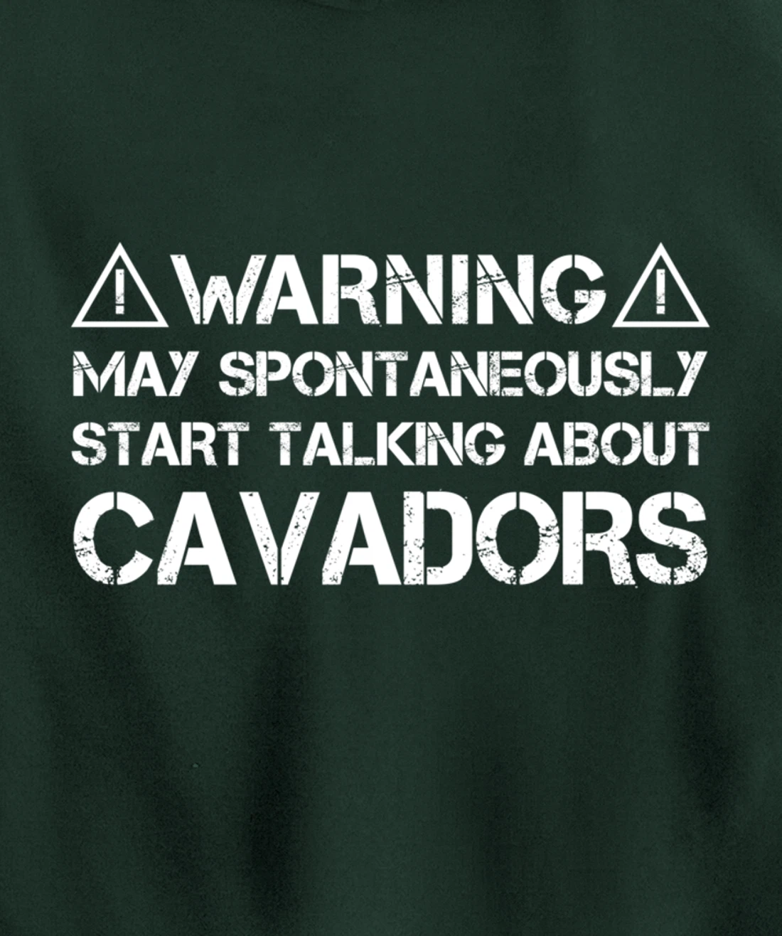 Warning May Start Talking About Cavadors Pullover Hoodie
