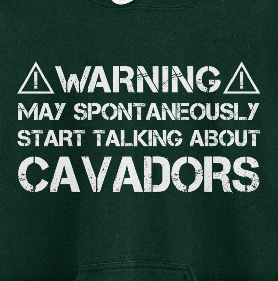 Warning May Start Talking About Cavadors Pullover Hoodie
