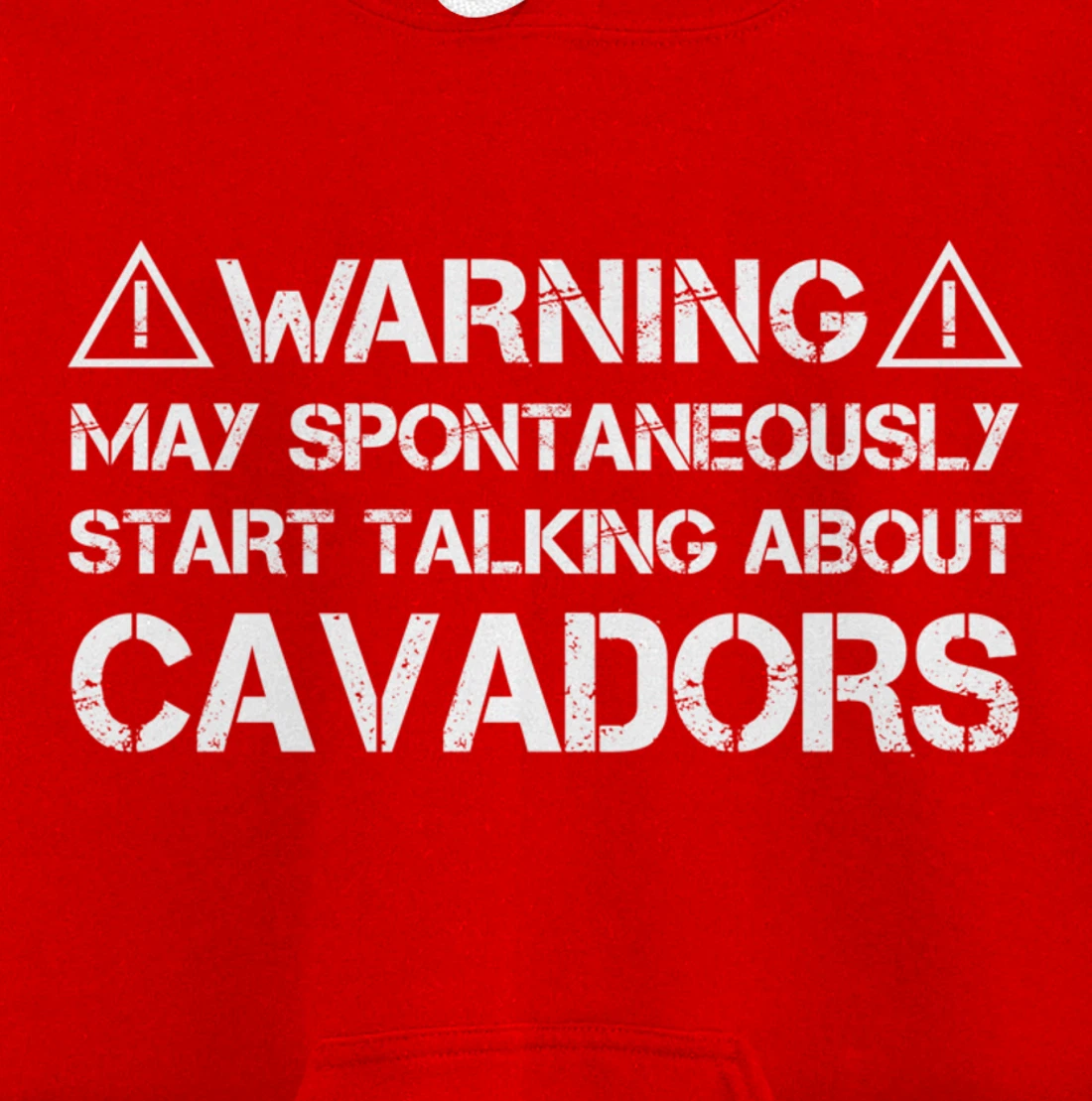 Warning May Start Talking About Cavadors Pullover Hoodie