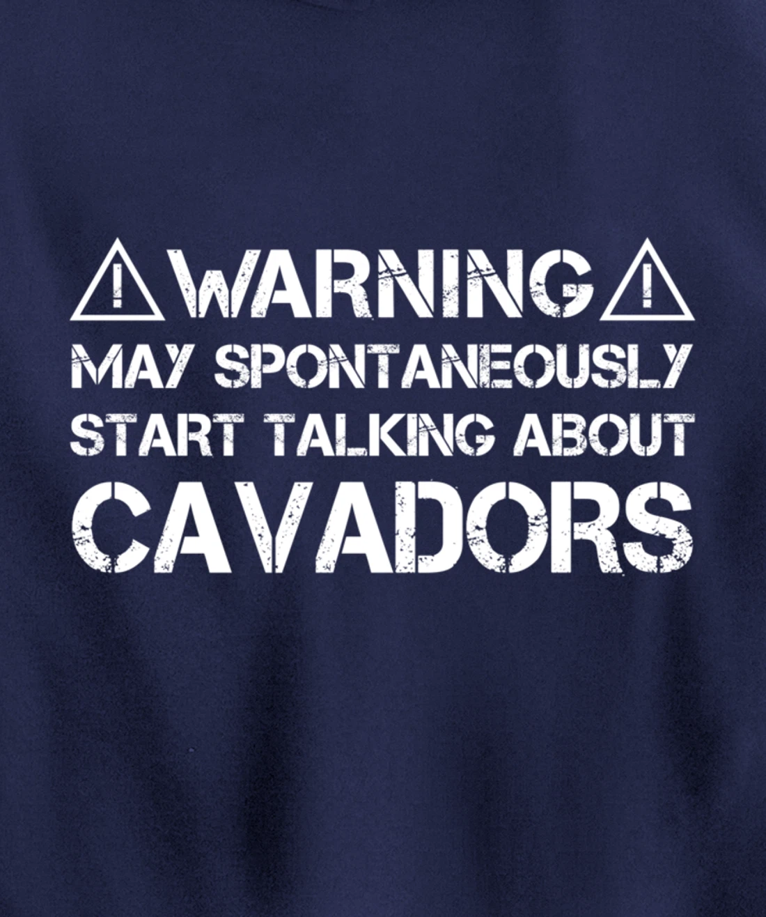Warning May Start Talking About Cavadors Pullover Hoodie