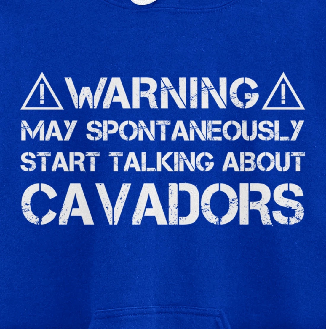 Warning May Start Talking About Cavadors Pullover Hoodie