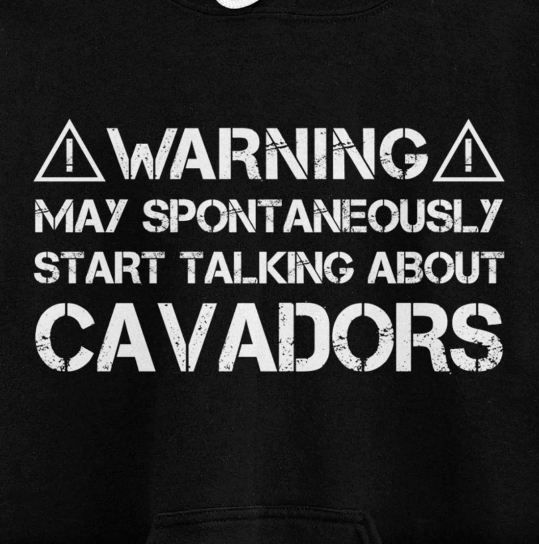 Warning May Start Talking About Cavadors Pullover Hoodie