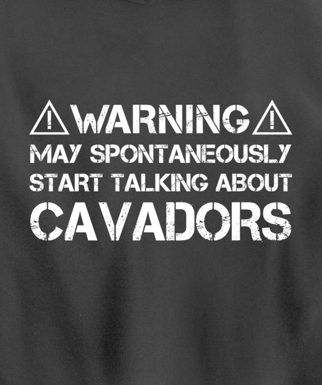 Warning May Start Talking About Cavadors Pullover Hoodie