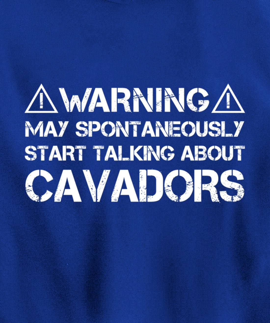 Warning May Start Talking About Cavadors Pullover Hoodie
