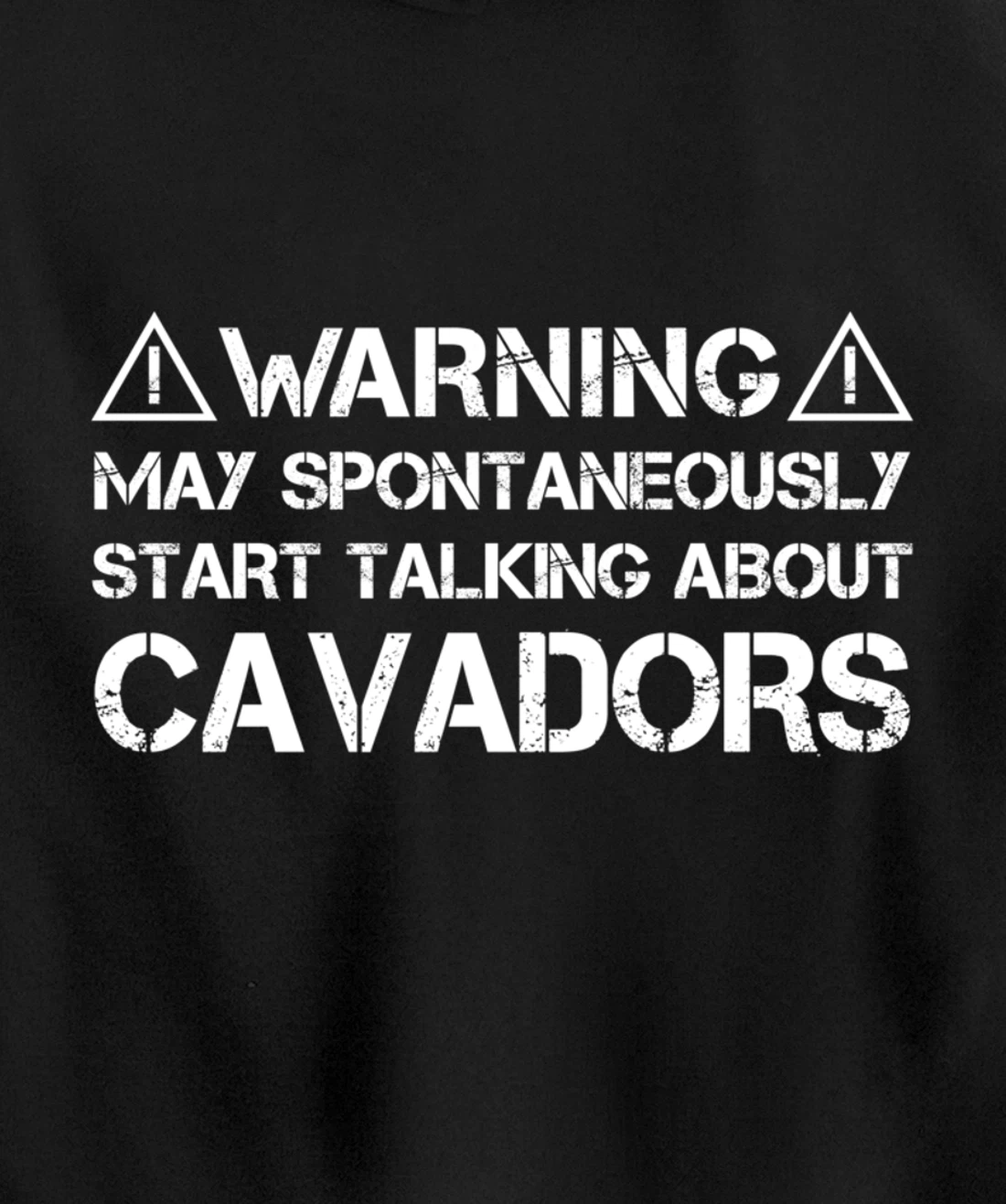 Warning May Start Talking About Cavadors Pullover Hoodie