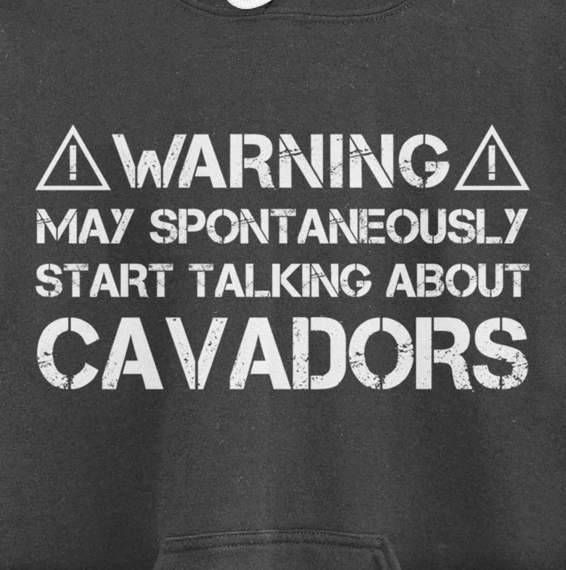Warning May Start Talking About Cavadors Pullover Hoodie