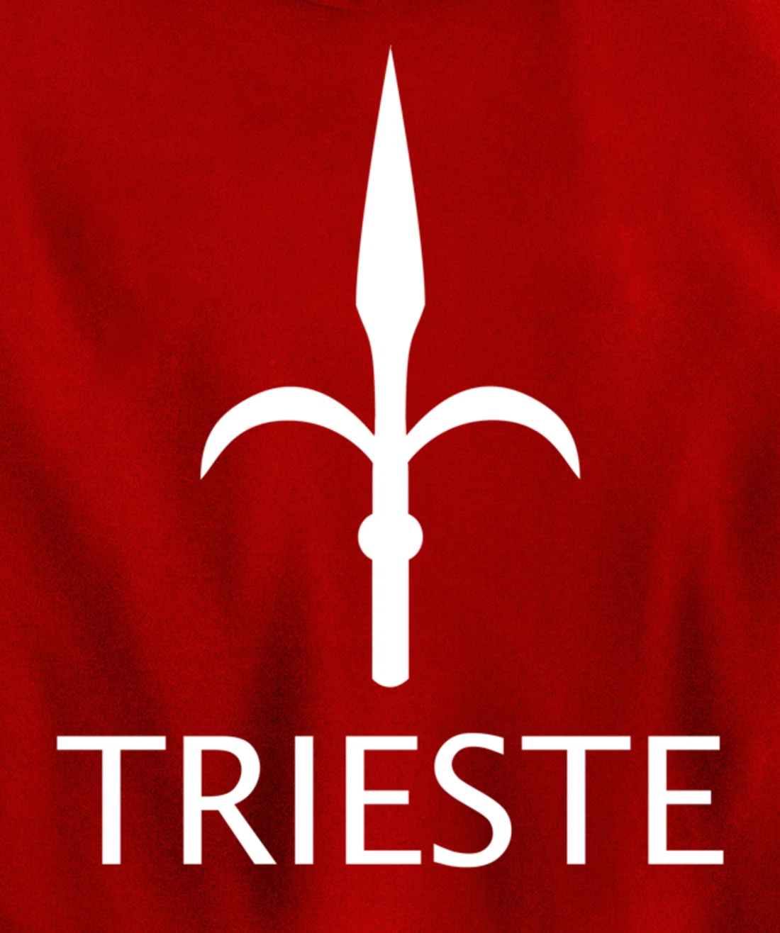 TRIESTE ITALY FLAG GULF OF TRIESTE Pullover Hoodie