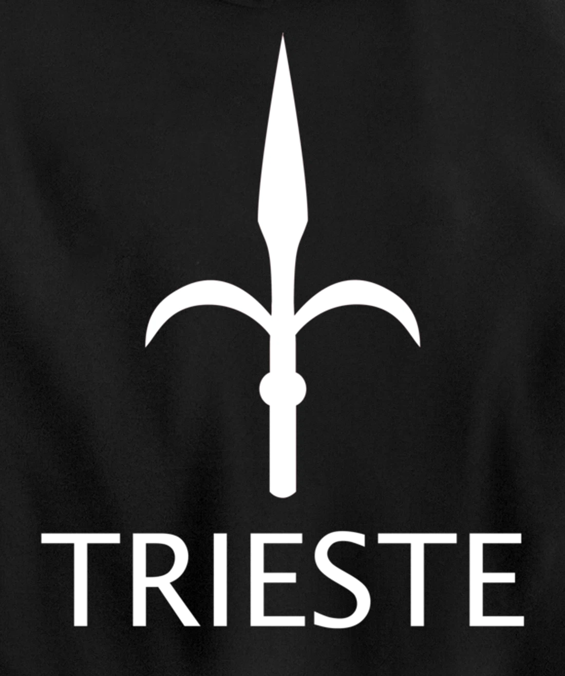 TRIESTE ITALY FLAG GULF OF TRIESTE Pullover Hoodie