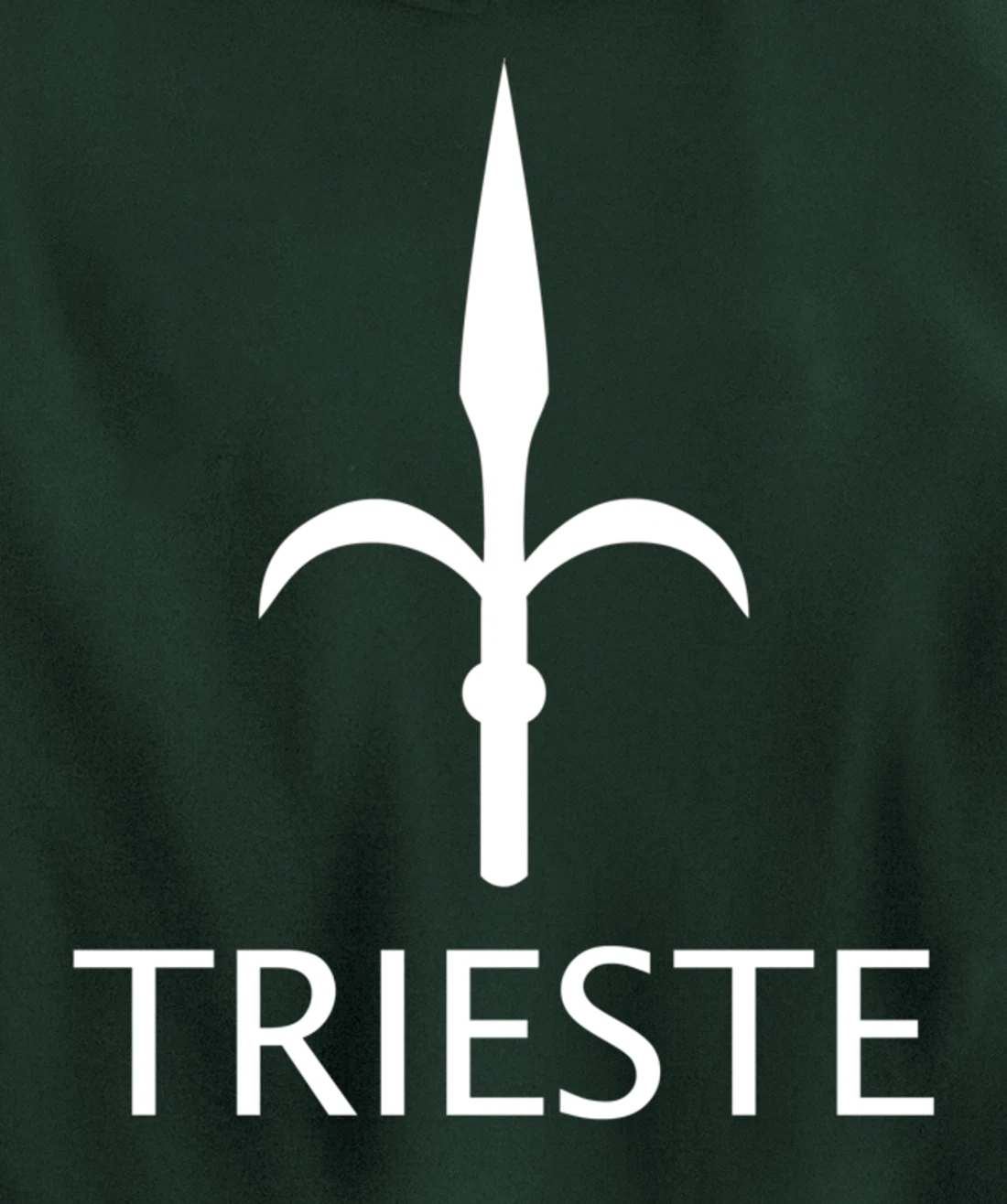 TRIESTE ITALY FLAG GULF OF TRIESTE Pullover Hoodie
