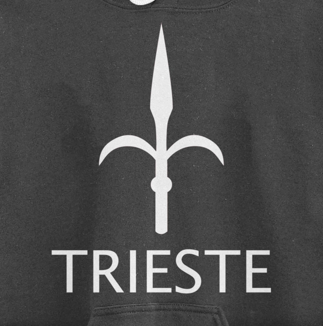 TRIESTE ITALY FLAG GULF OF TRIESTE Pullover Hoodie