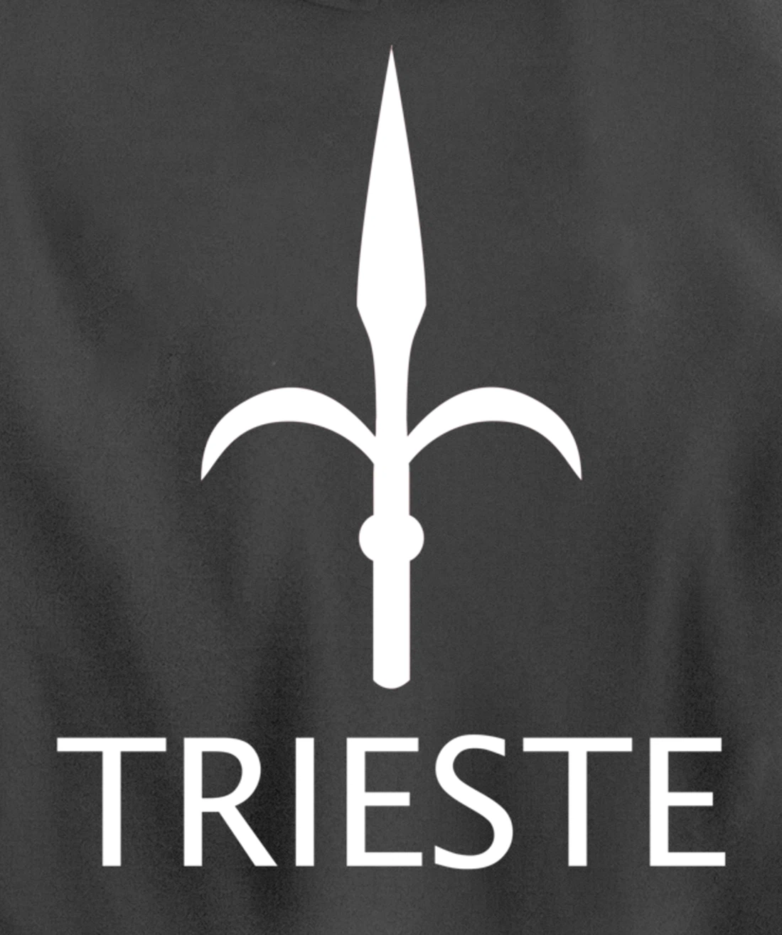TRIESTE ITALY FLAG GULF OF TRIESTE Pullover Hoodie