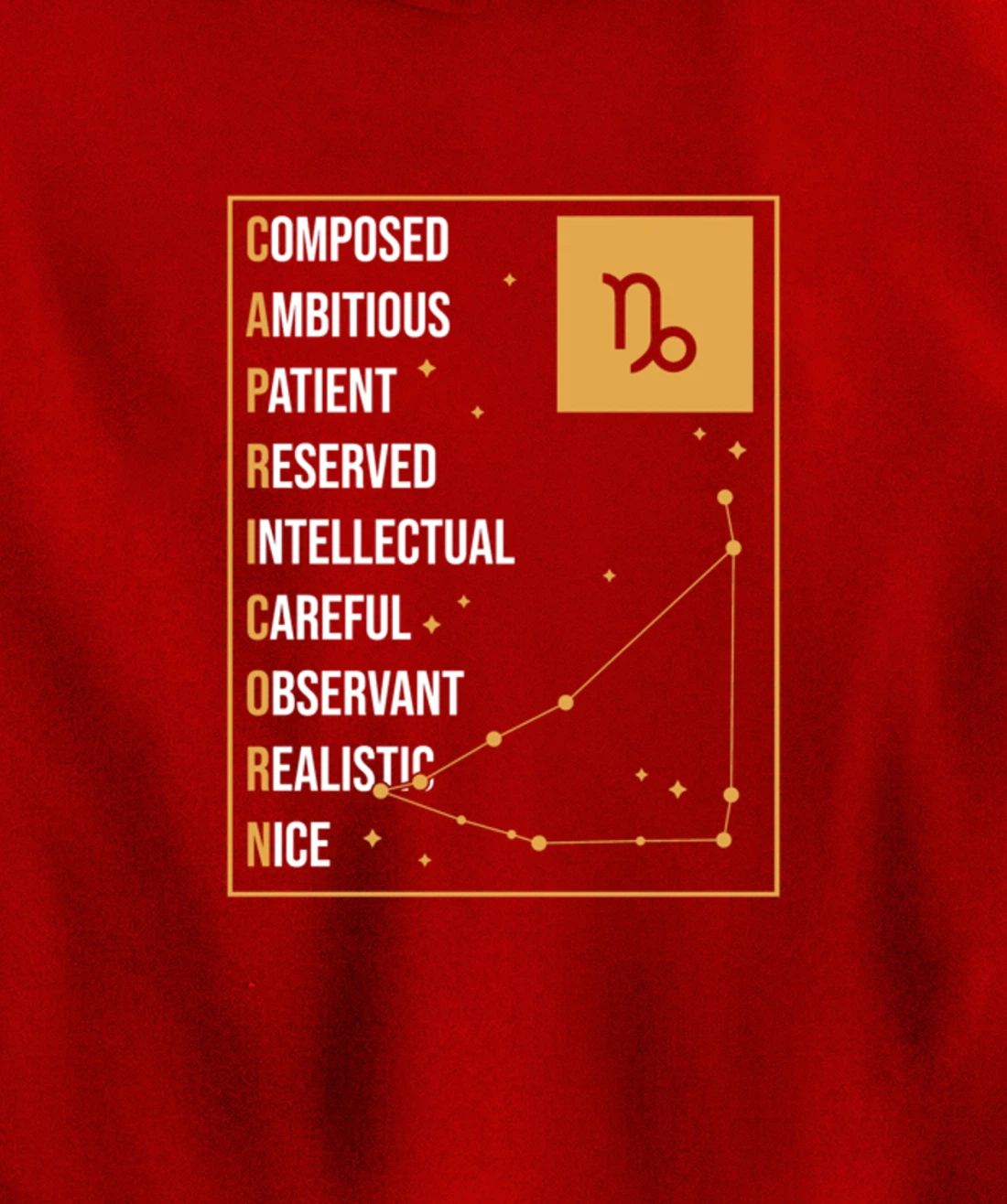 Capricorn Facts Apparel Funny Horoscope Astrology Pullover Hoodie