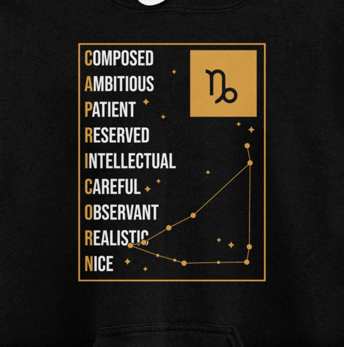Capricorn Facts Apparel Funny Horoscope Astrology Pullover Hoodie