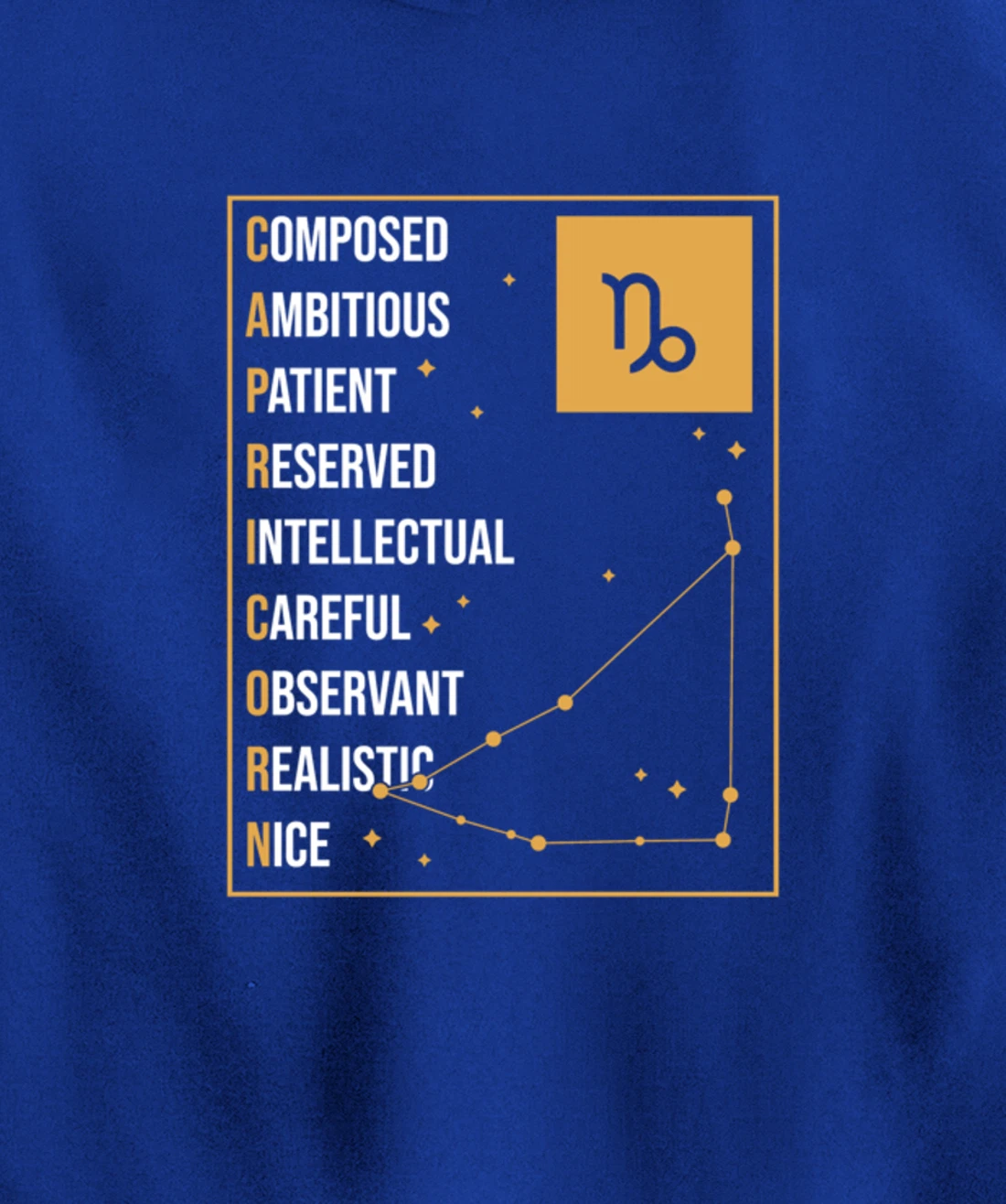 Capricorn Facts Apparel Funny Horoscope Astrology Pullover Hoodie