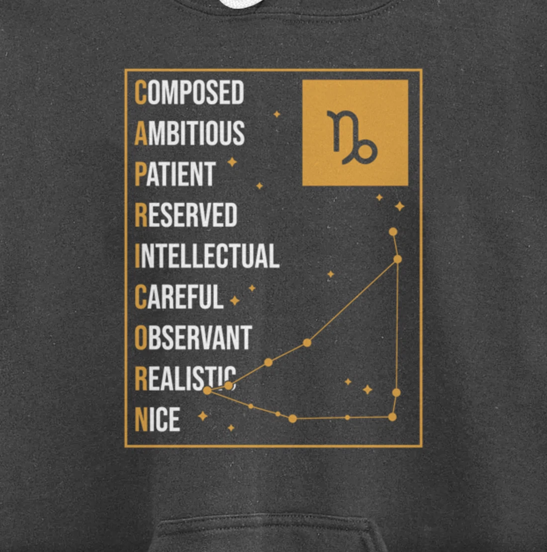 Capricorn Facts Apparel Funny Horoscope Astrology Pullover Hoodie