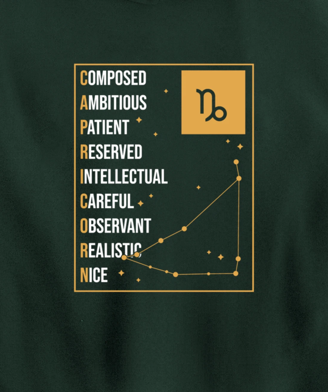 Capricorn Facts Apparel Funny Horoscope Astrology Pullover Hoodie