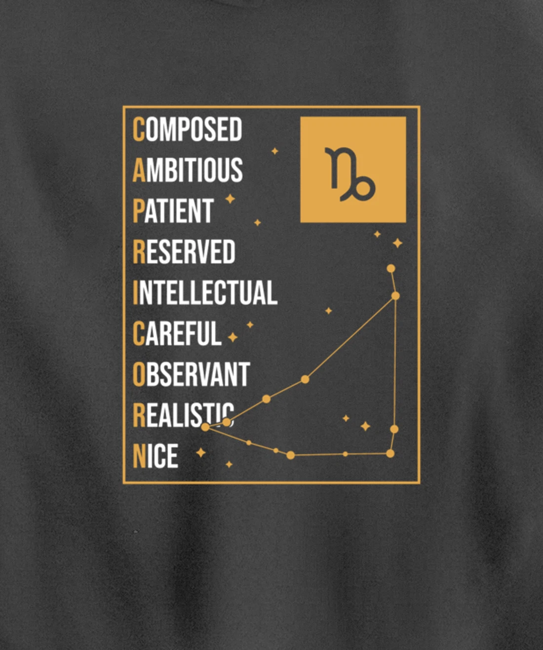 Capricorn Facts Apparel Funny Horoscope Astrology Pullover Hoodie