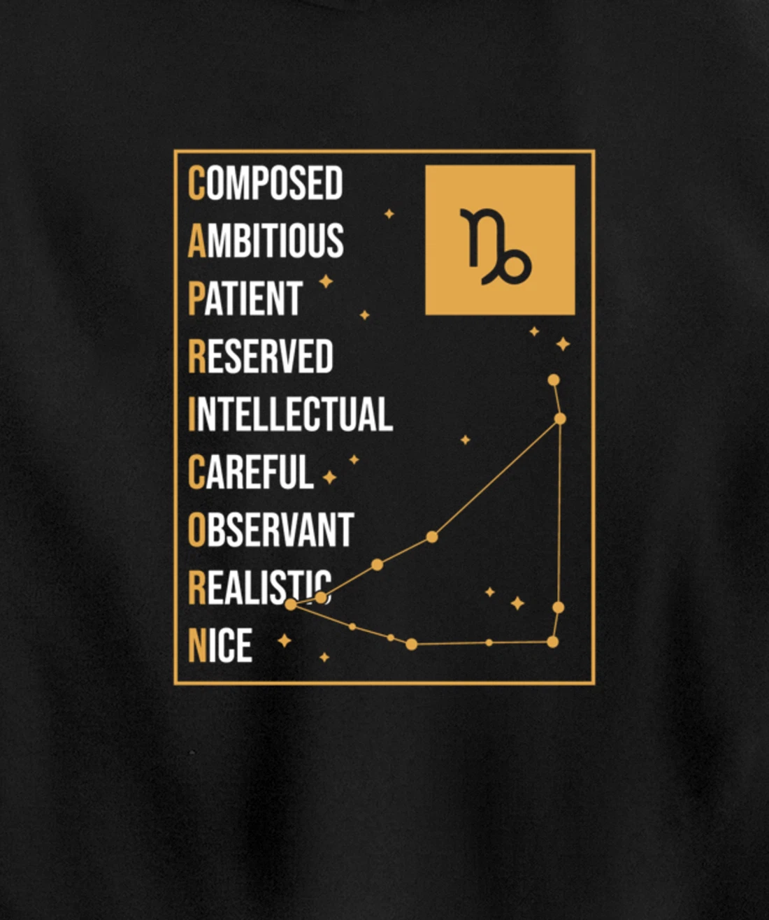 Capricorn Facts Apparel Funny Horoscope Astrology Pullover Hoodie