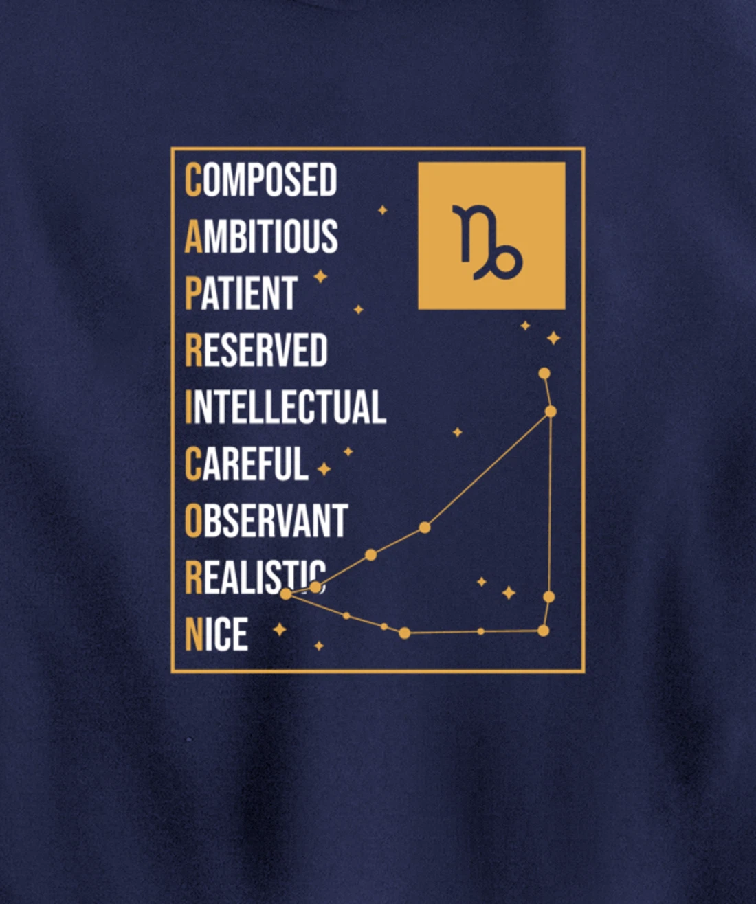 Capricorn Facts Apparel Funny Horoscope Astrology Pullover Hoodie