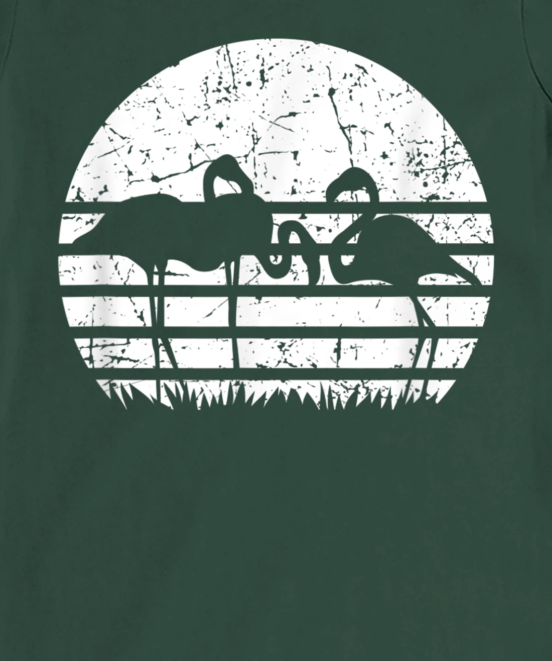 Flamingo Sunset T-Shirt, Kid T-Shirt and Women T-Shirt