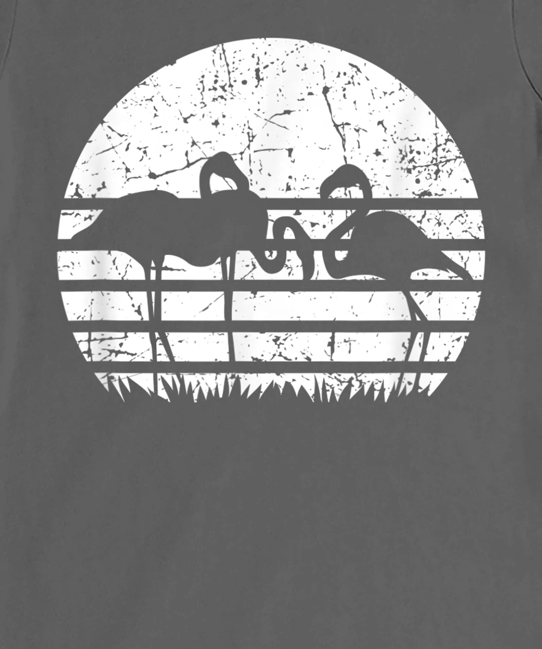 Flamingo Sunset T-Shirt, Kid T-Shirt and Women T-Shirt
