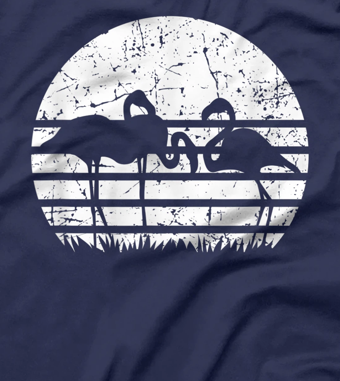 Flamingo Sunset T-Shirt, Kid T-Shirt and Women T-Shirt