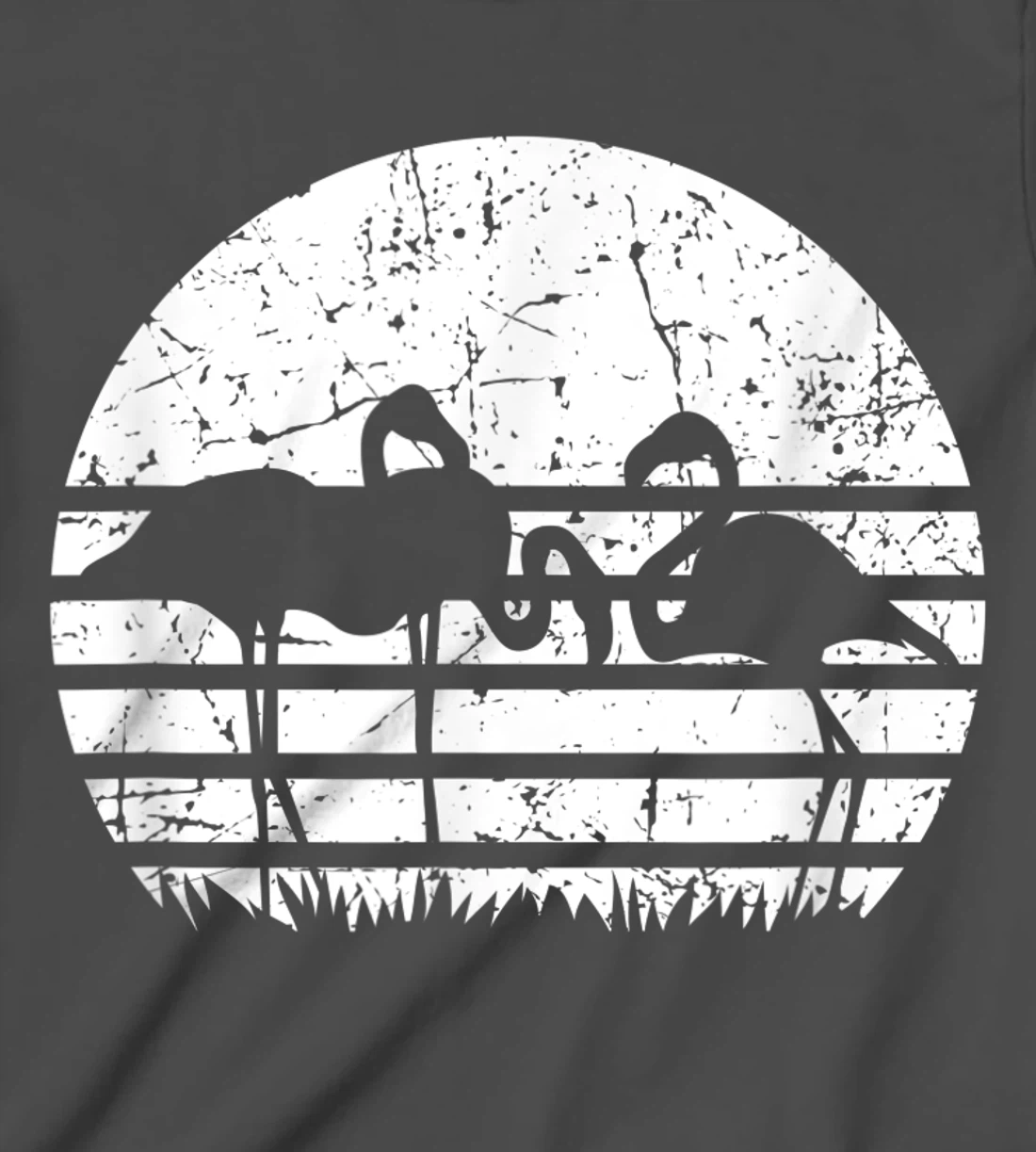 Flamingo Sunset T-Shirt, Kid T-Shirt and Women T-Shirt