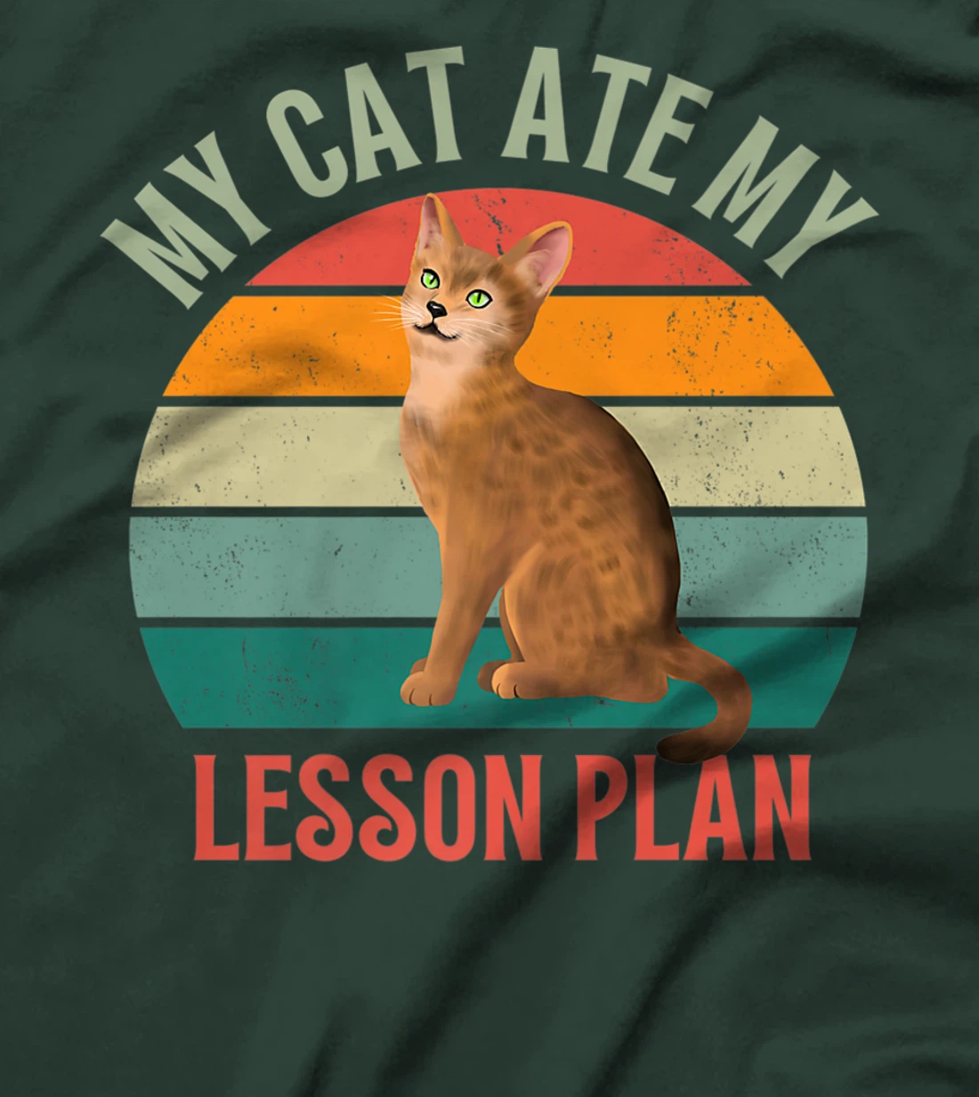 My Cat Ate My Lesson Plan Retro Abyssinian Lover Teacher T-Shirt, Women T-Shirt