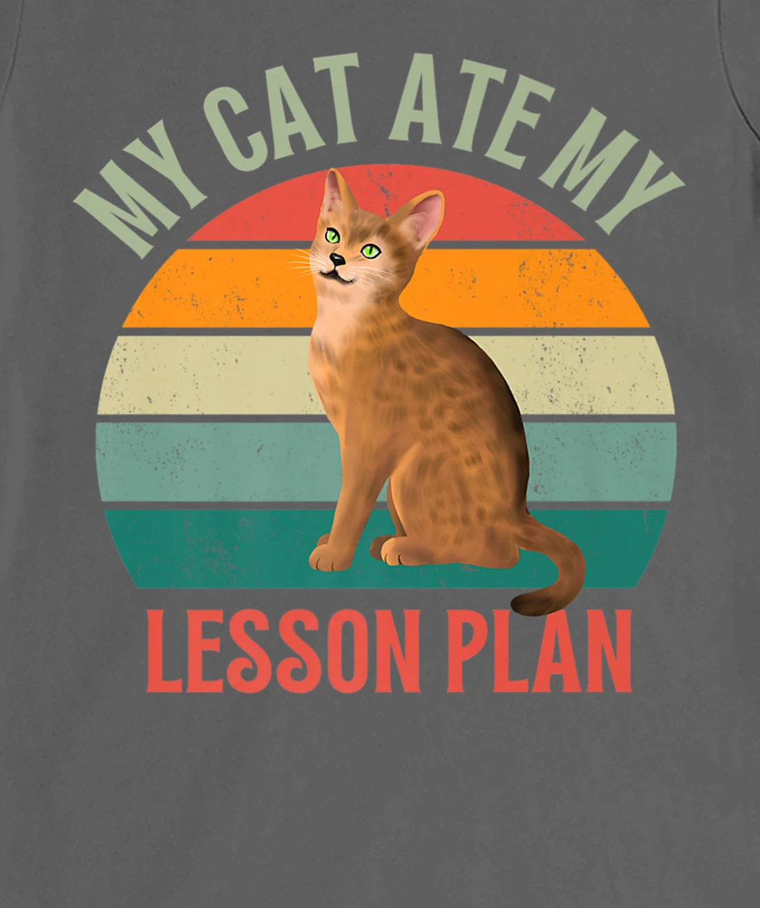 My Cat Ate My Lesson Plan Retro Abyssinian Lover Teacher T-Shirt, Women T-Shirt