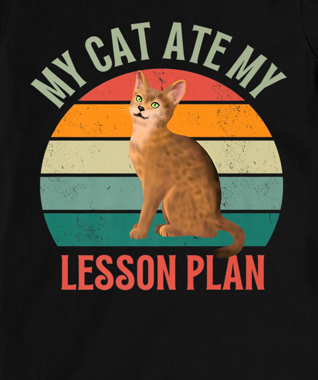 My Cat Ate My Lesson Plan Retro Abyssinian Lover Teacher T-Shirt, Women T-Shirt