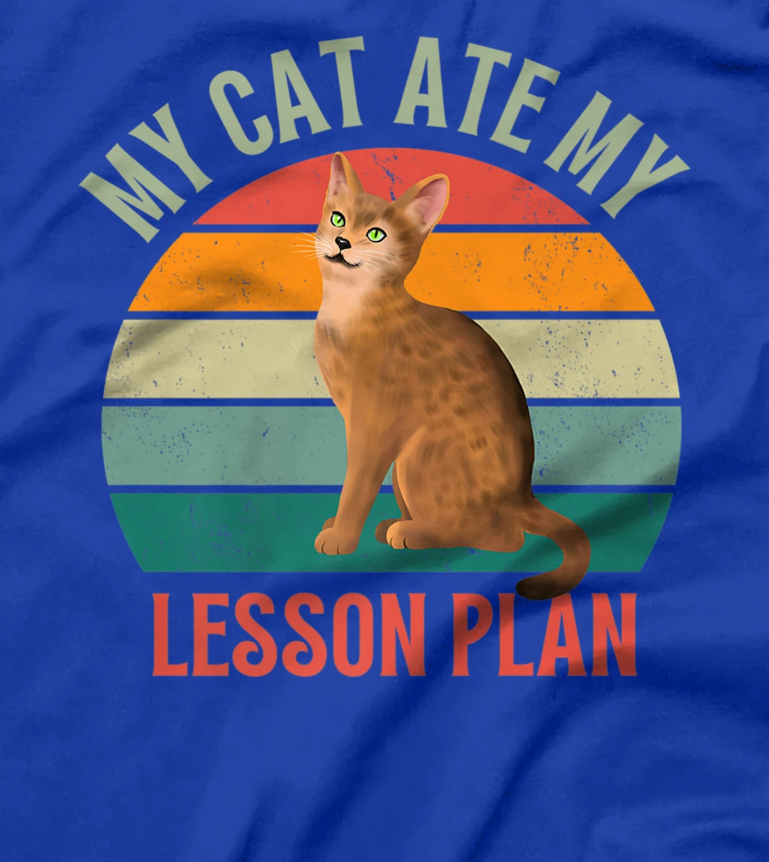 My Cat Ate My Lesson Plan Retro Abyssinian Lover Teacher T-Shirt, Women T-Shirt
