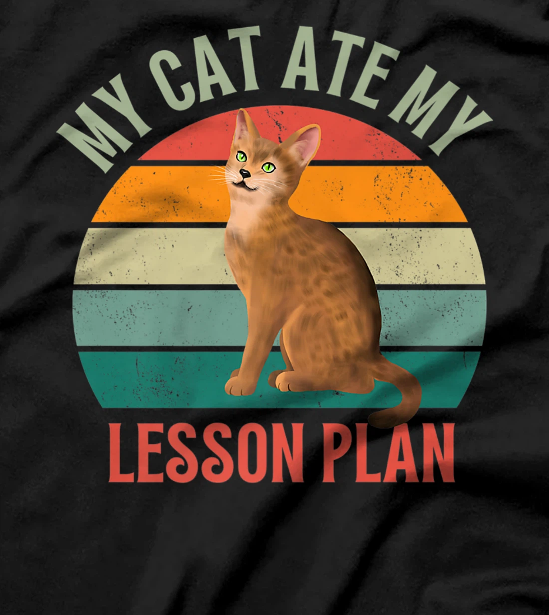 My Cat Ate My Lesson Plan Retro Abyssinian Lover Teacher T-Shirt, Women T-Shirt