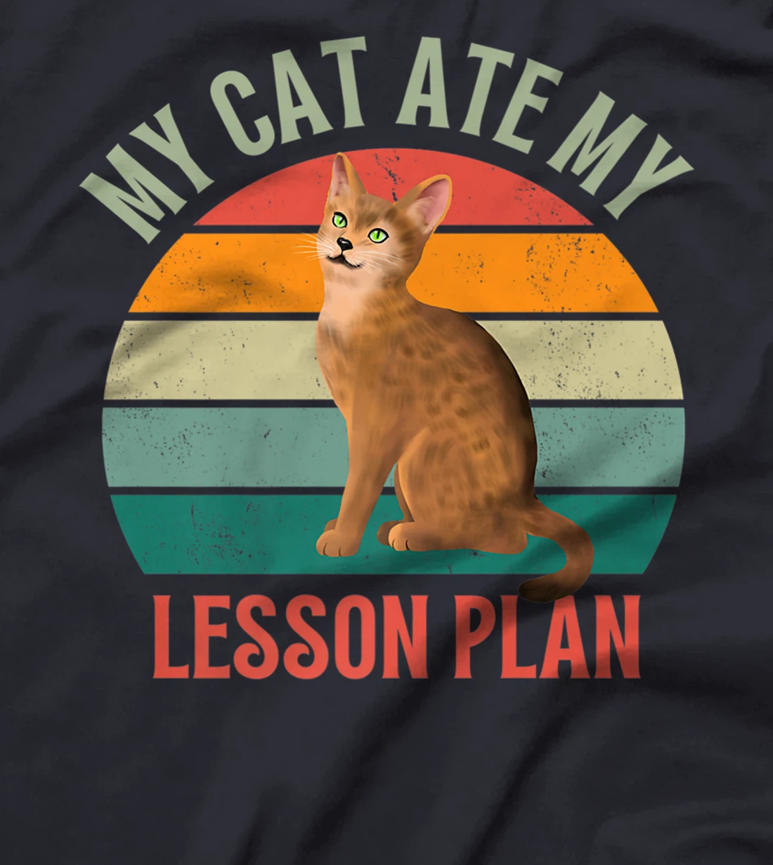 My Cat Ate My Lesson Plan Retro Abyssinian Lover Teacher T-Shirt, Women T-Shirt